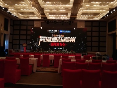 東巴象家裝集團柳州新聞發布會成功舉辦，引領家居定制新篇章